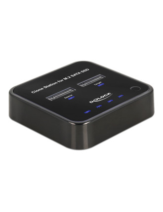 DELOCK docking station για M.2 SATA SSD 64178, 2 θέσεων, 6Gbps, clone function, μαύρο