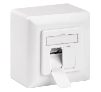 GOOBAY επιτοίχια πρίζα CAT 6a 68572, 2x RJ45, 80x80mm, λευκή GOOBAY επιτοίχια πρίζα CAT 6a 68572, 2x RJ45, 80x80mm, λευκή