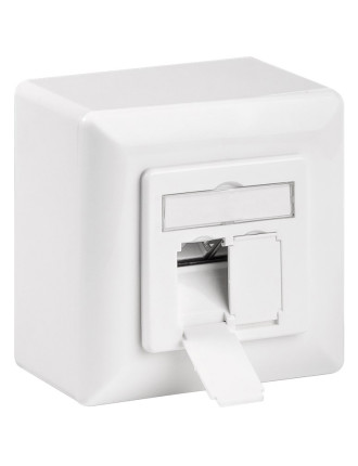 GOOBAY επιτοίχια πρίζα CAT 6a 68572, 2x RJ45, 80x80mm, λευκή GOOBAY επιτοίχια πρίζα CAT 6a 68572, 2x RJ45, 80x80mm, λευκή