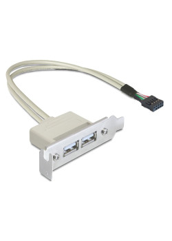 DELOCK κάρτα επέκτασης USB 9 pin σε 2x USB 2.0 83119, low profile