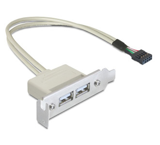 DELOCK κάρτα επέκτασης USB 9 pin σε 2x USB 2.0 83119, low profile DELOCK κάρτα επέκτασης USB 9 pin σε 2x USB 2.0 83119, low profile