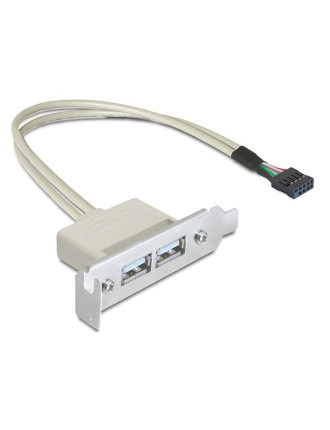 DELOCK κάρτα επέκτασης USB 9 pin σε 2x USB 2.0 83119, low profile