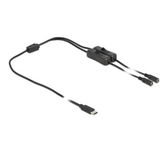 DELOCK καλώδιο USB Type-C σε 2x DC 5.5 x 2.1mm 86800, 1m, μαύρο