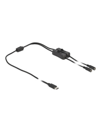 DELOCK καλώδιο USB Type-C σε 2x DC 5.5 x 2.1mm 86800, 1m, μαύρο