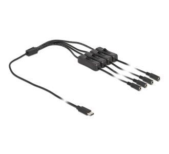 DELOCK καλώδιο USB Type-C σε 4x DC 5.5 x 2.1mm 86802, 1m, μαύρο