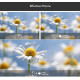 APEXEL 100mm macro φακός APL-HB100MM για smartphone κάμερα APEXEL 100mm macro φακός APL-HB100MM για smartphone κάμερα
