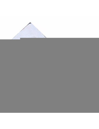 BLACKVIEW ανταλλακτικό receiver για smartphone BV5000