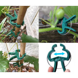Κλιπ στήριξης φυτών GAR-0002, 6 x 4.5cm, πράσινο, 10τμχ