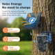 SECTEC smart ηλιακή κάμερα κυνηγού ST-537-6MAOV-4G-EU-G, dual lens, 3MP, 4G, SD, PTZ, IP66 SECTEC smart ηλιακή κάμερα κυνηγού ST-537-6MAOV-4G-EU-G, dual lens, 3MP, 4G, SD, PTZ, IP66