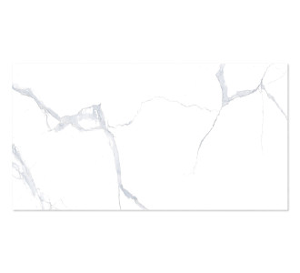 WINGRESS πλακάκι WNC-BELEN-WHITE, 120x60cm, glossy finish, belen white, 2τμχ 1.44m²