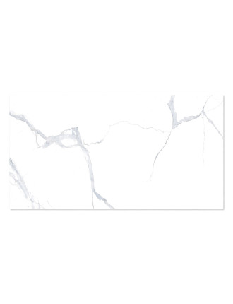 WINGRESS πλακάκι WNC-BELEN-WHITE, 120x60cm, glossy finish, belen white, 2τμχ 1.44m²