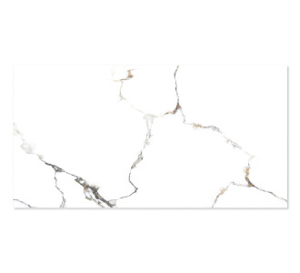 WINGRESS πλακάκι WNC-METAL-WHITE, 120x60cm, glossy finish, metal white, 2τμχ 1.44m²