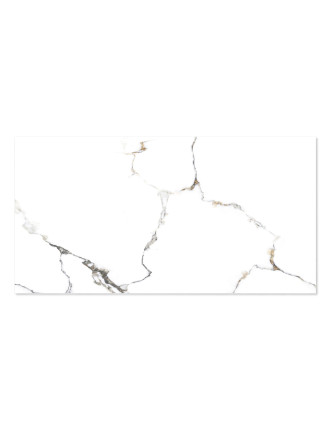 WINGRESS πλακάκι WNC-METAL-WHITE, 120x60cm, glossy finish, metal white, 2τμχ 1.44m²